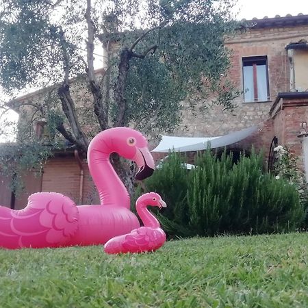 Appartamento Agli Olivi Di Marciano Siena Esterno foto