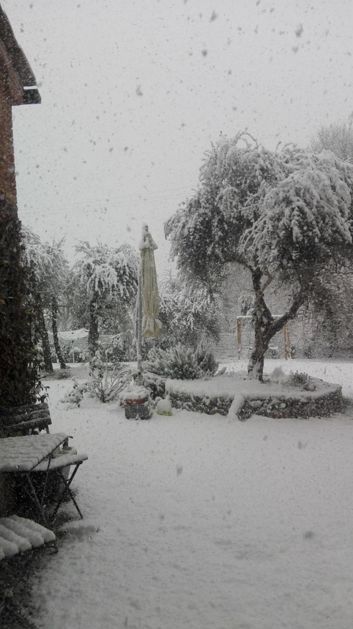 Appartamento Agli Olivi Di Marciano Siena Esterno foto