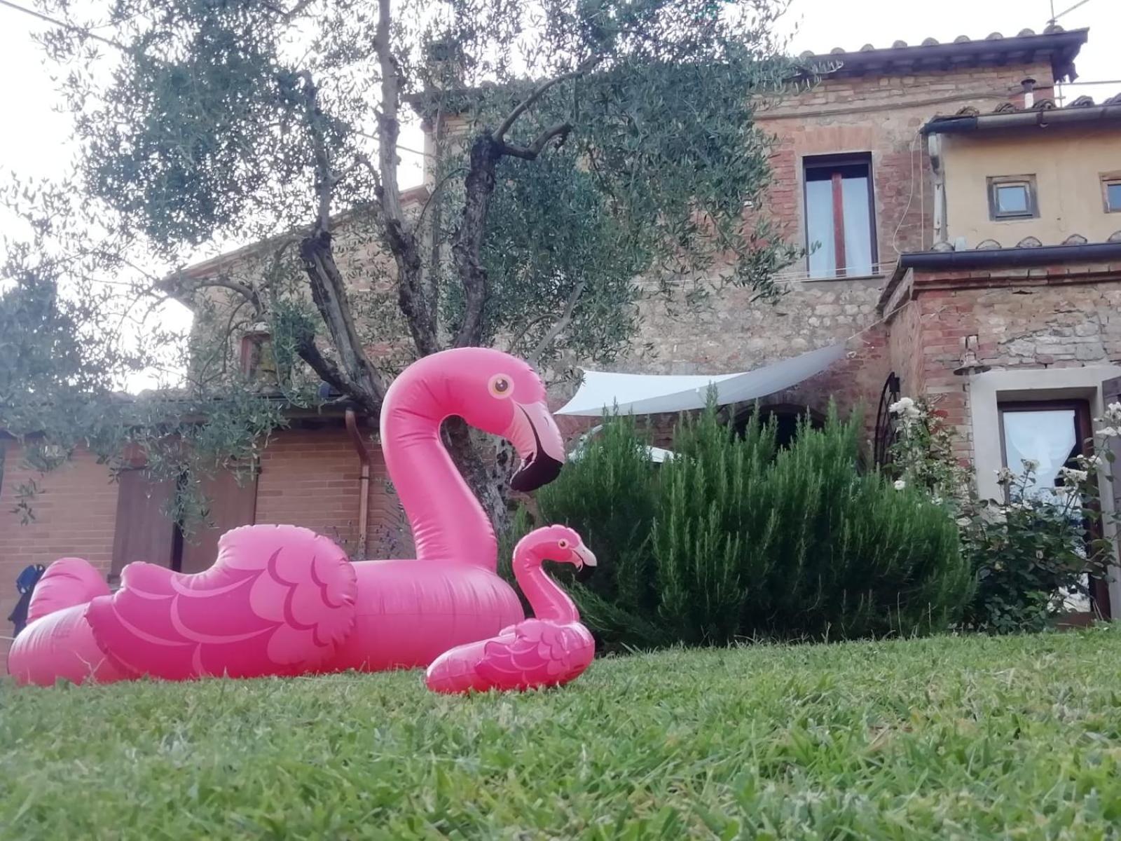 Appartamento Agli Olivi Di Marciano Siena Esterno foto