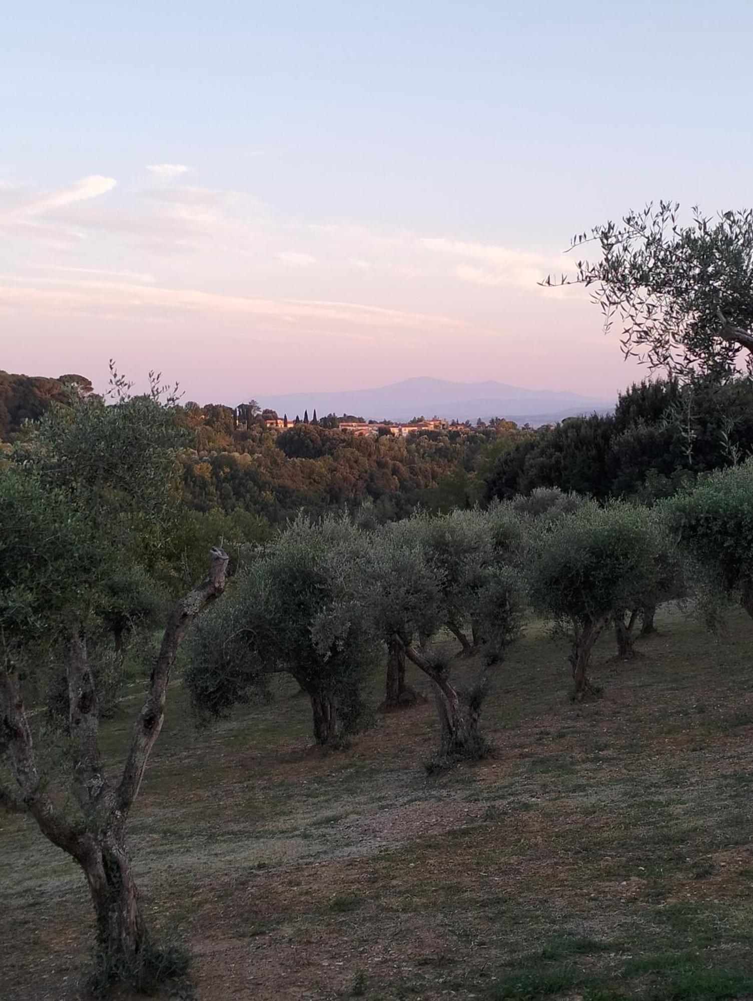 Appartamento Agli Olivi Di Marciano Siena Esterno foto