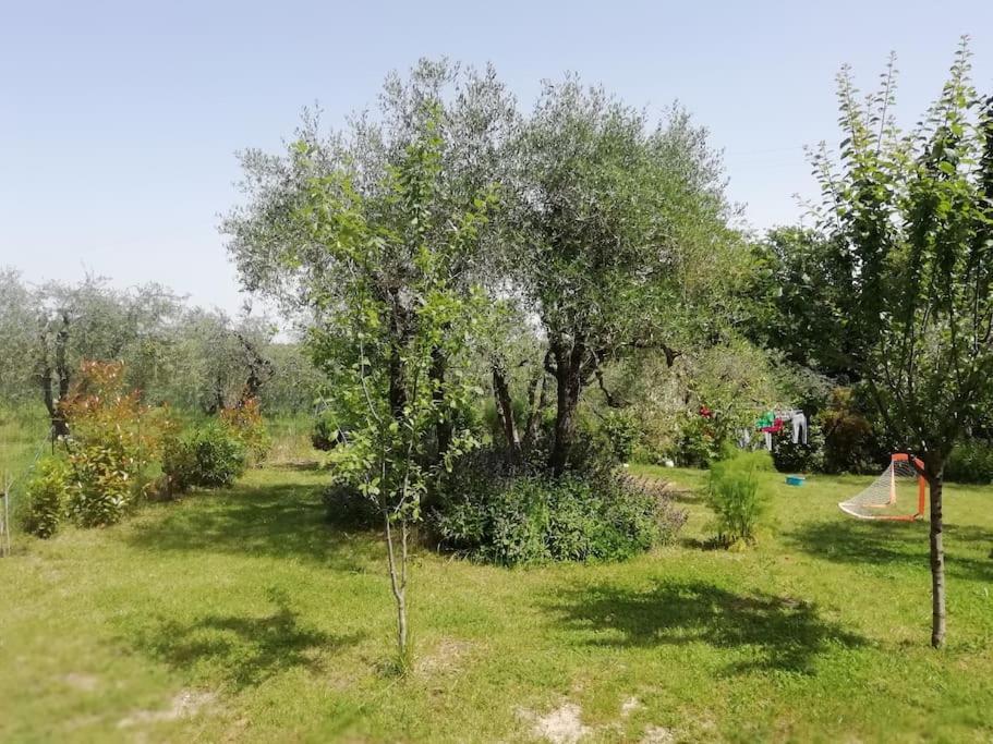 Appartamento Agli Olivi Di Marciano Siena Esterno foto