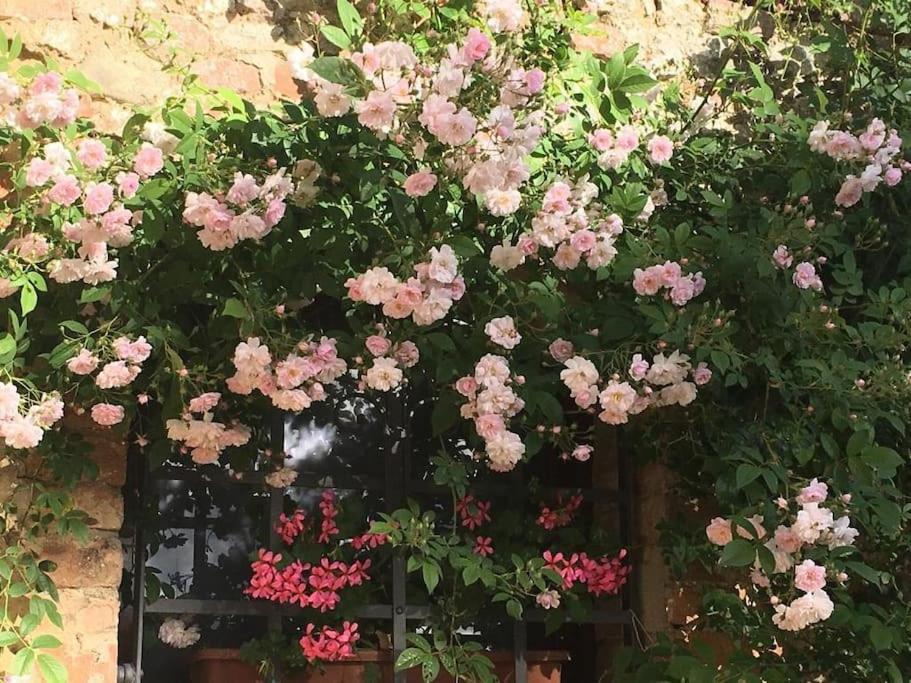 Appartamento Agli Olivi Di Marciano Siena Esterno foto